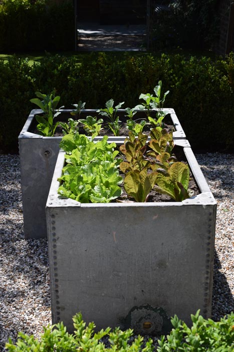 Small vegetable garden